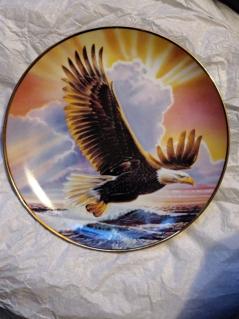 Decorative Bald Eagle Ceramic Wall Plate - Multicolor